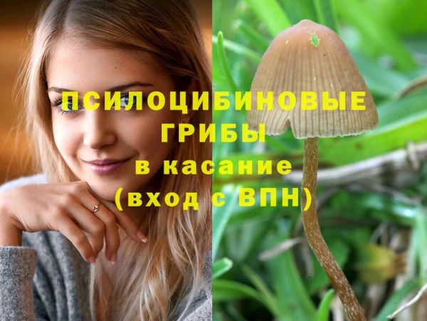 не бодяженный Аркадак