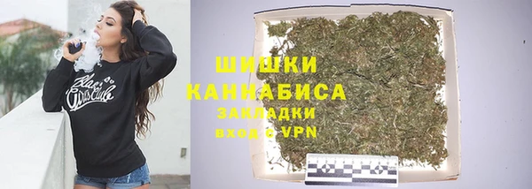 молекула духа Арсеньев