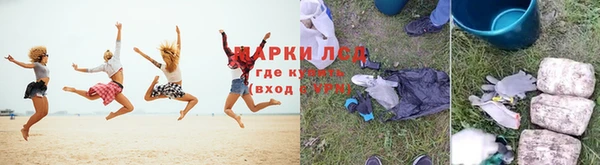молекула духа Арсеньев