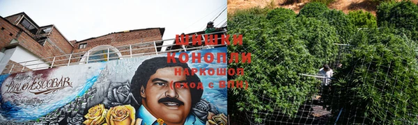 эйфоретик Армянск