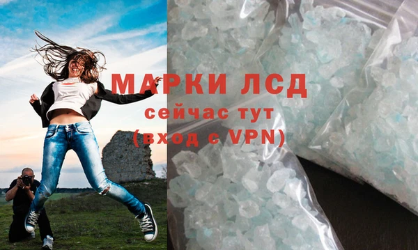 молекула духа Арсеньев