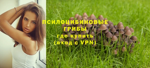 эйфоретик Армянск