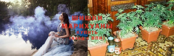 молекула духа Арсеньев